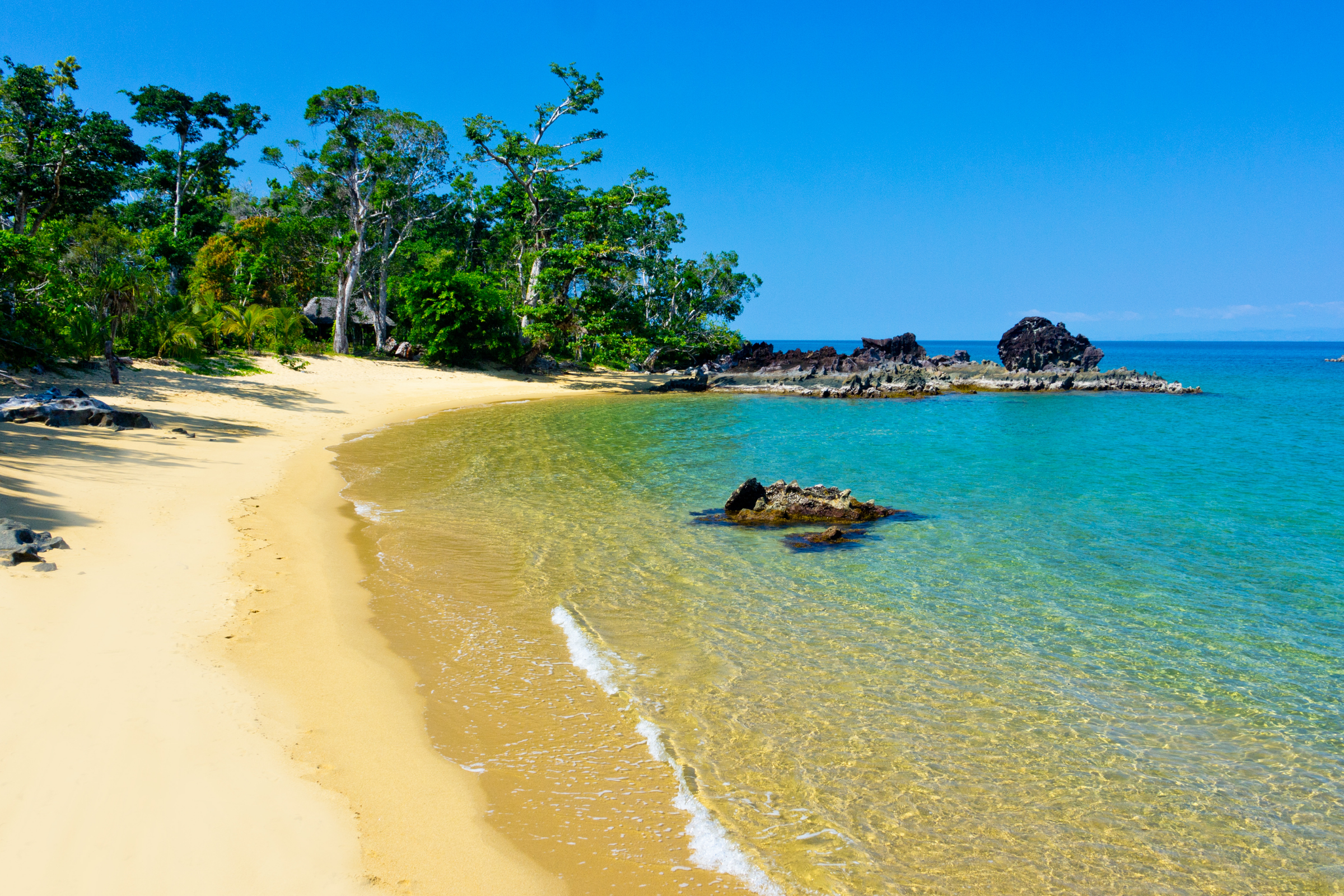 185 europa island.webp